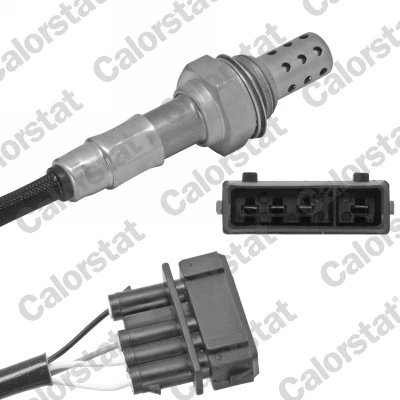 Oxygen Sensor